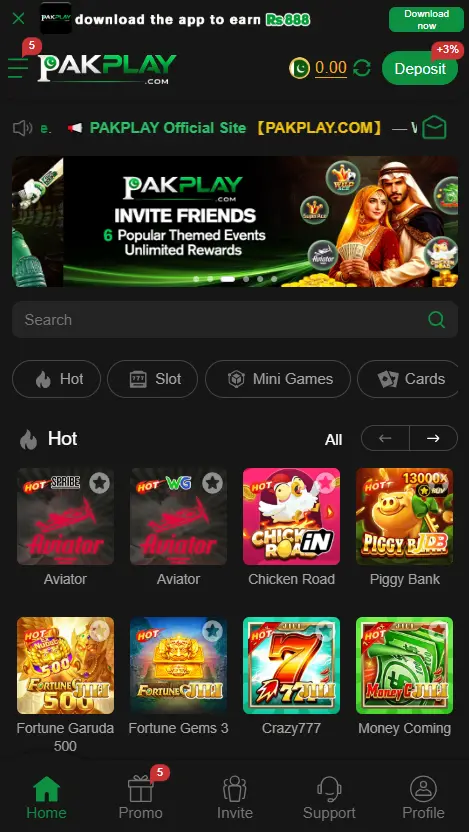 PAKPLAY Game Interface